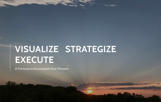 Visualize Strategize Execute book